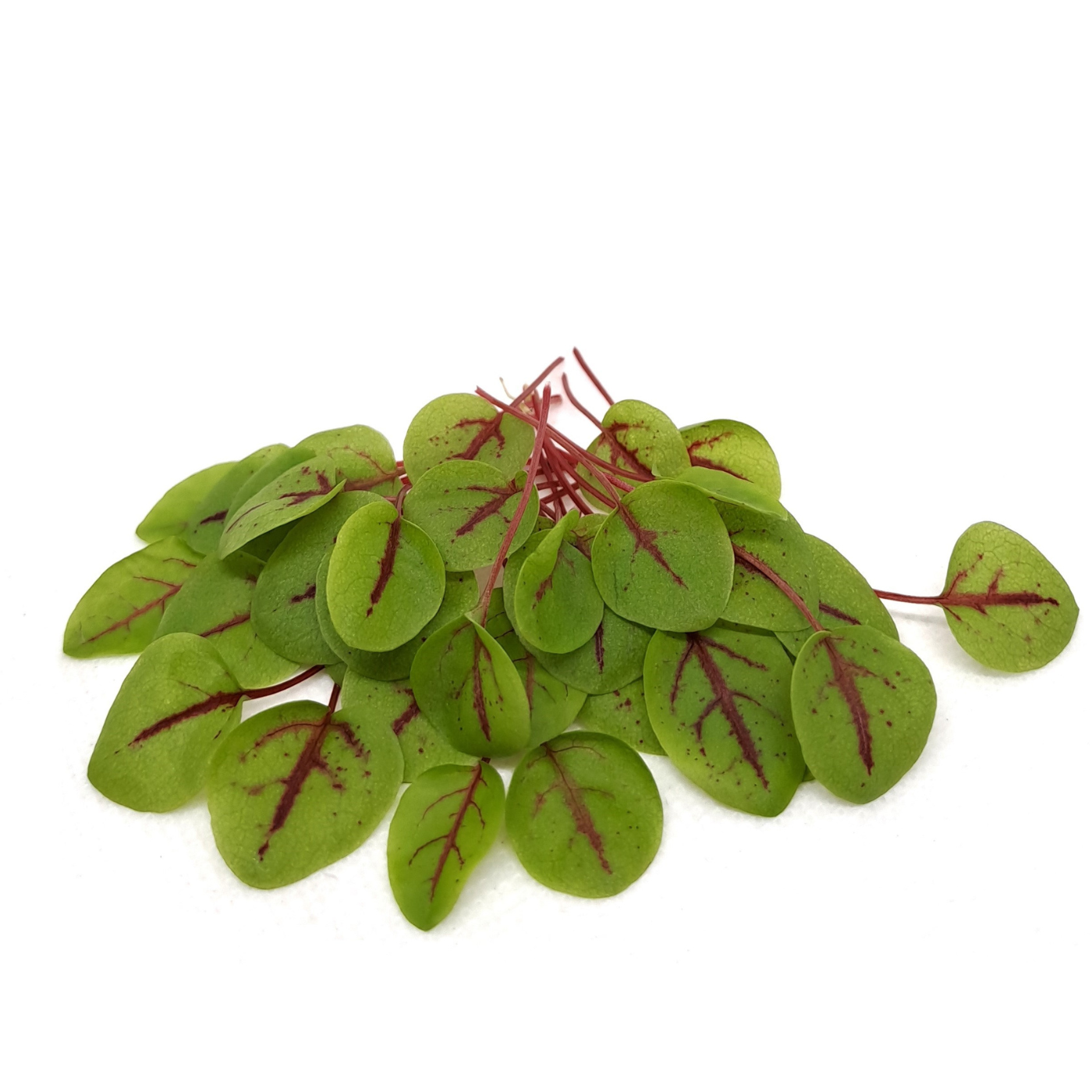 Organic sorrel red