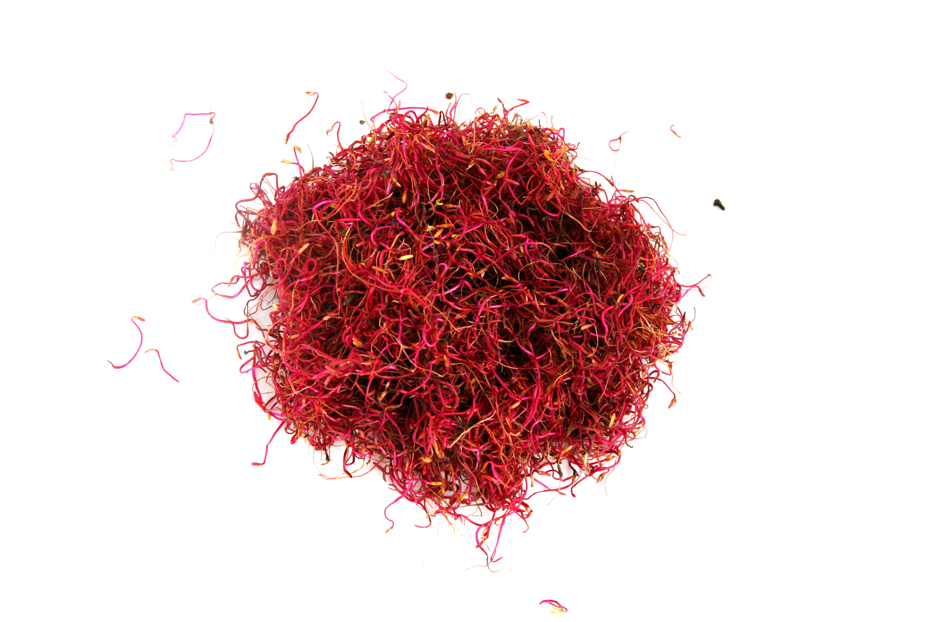 Organic Beet seed