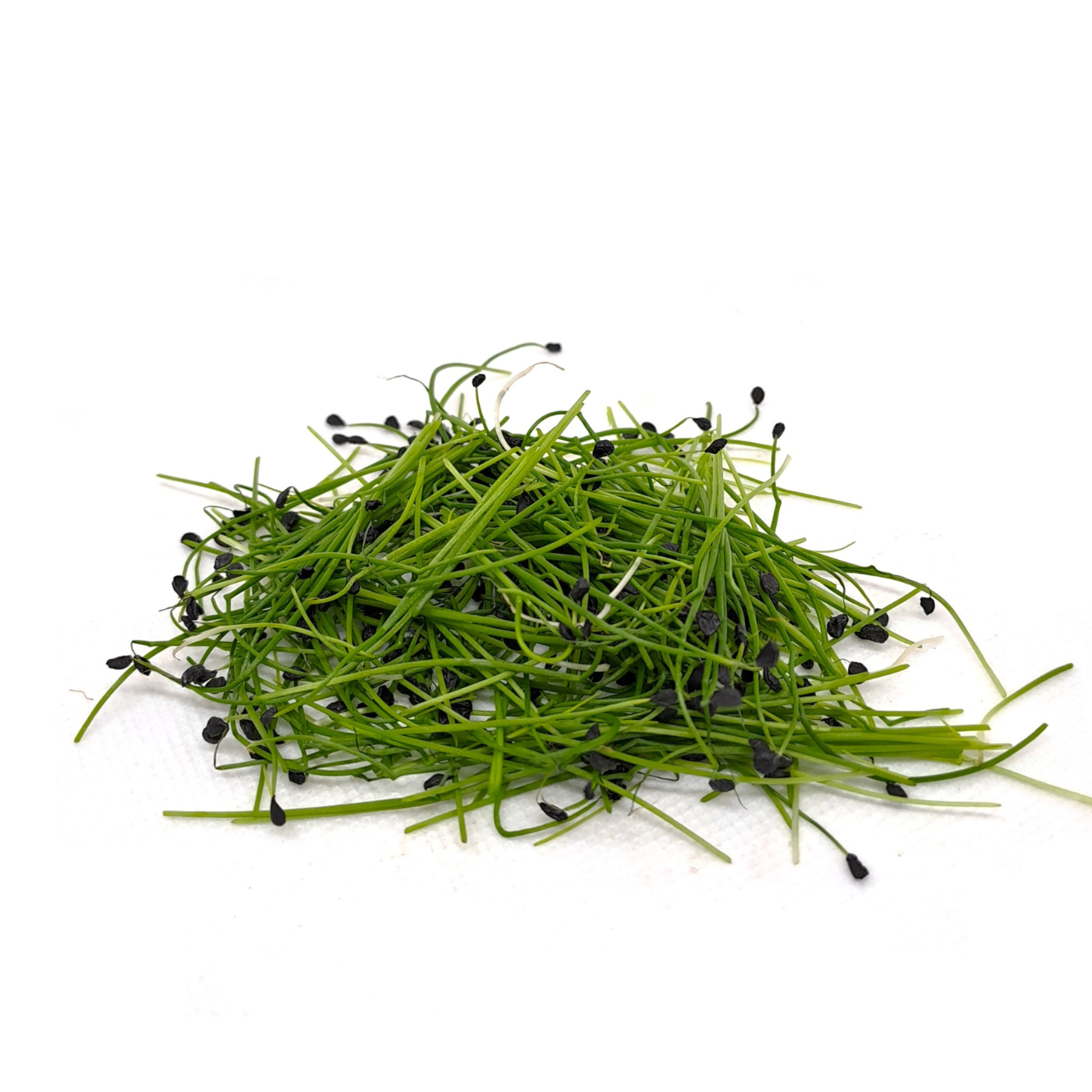 Organic Garlic Chives microgreens