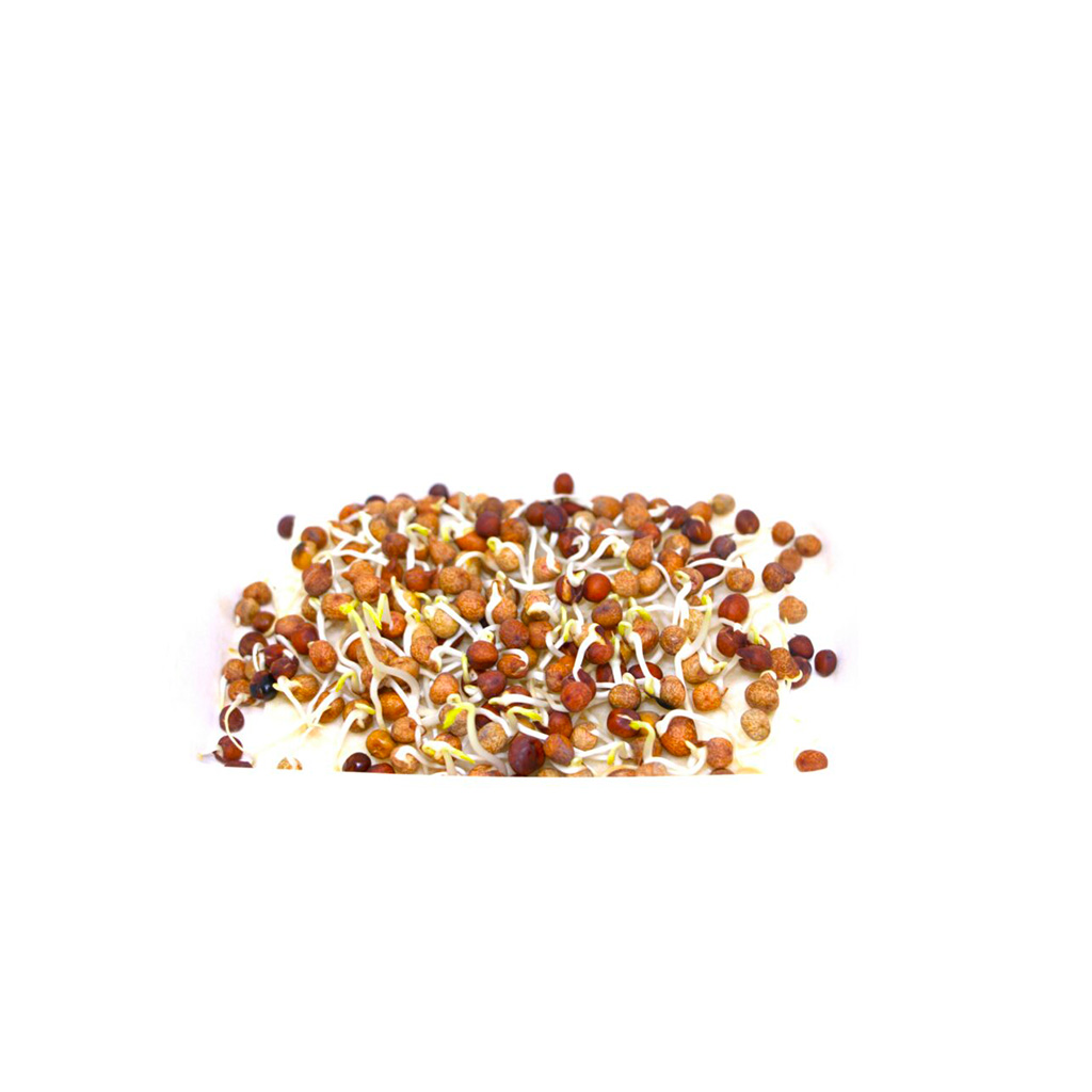 Organic Peas brown speckled seeds