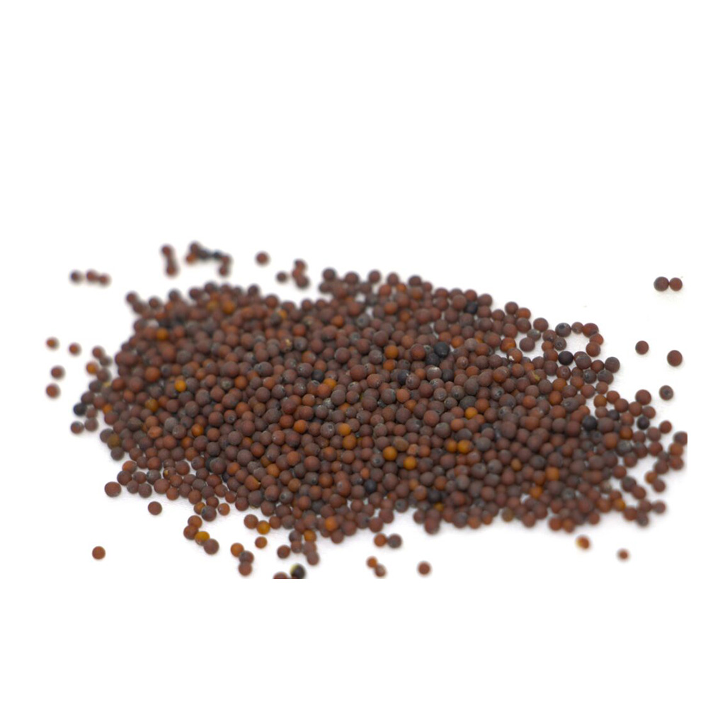 Organic mustard red seeds