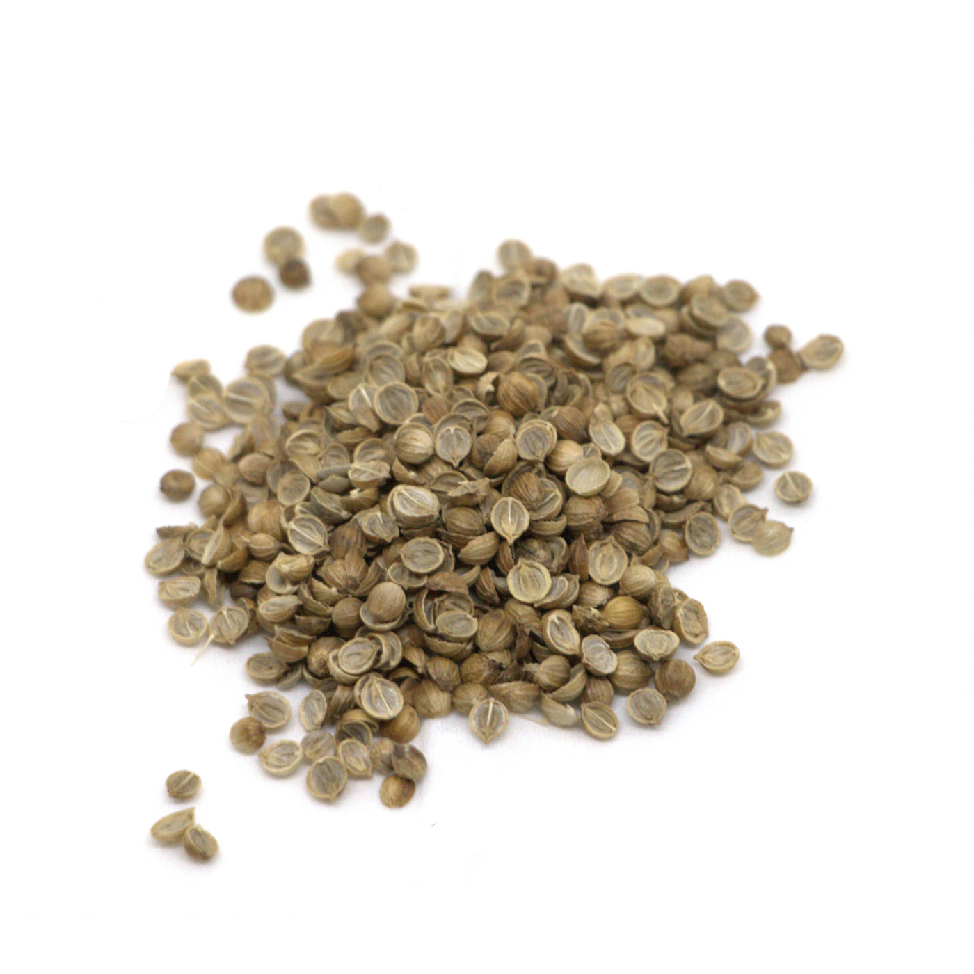 Organic seeds of split coriander