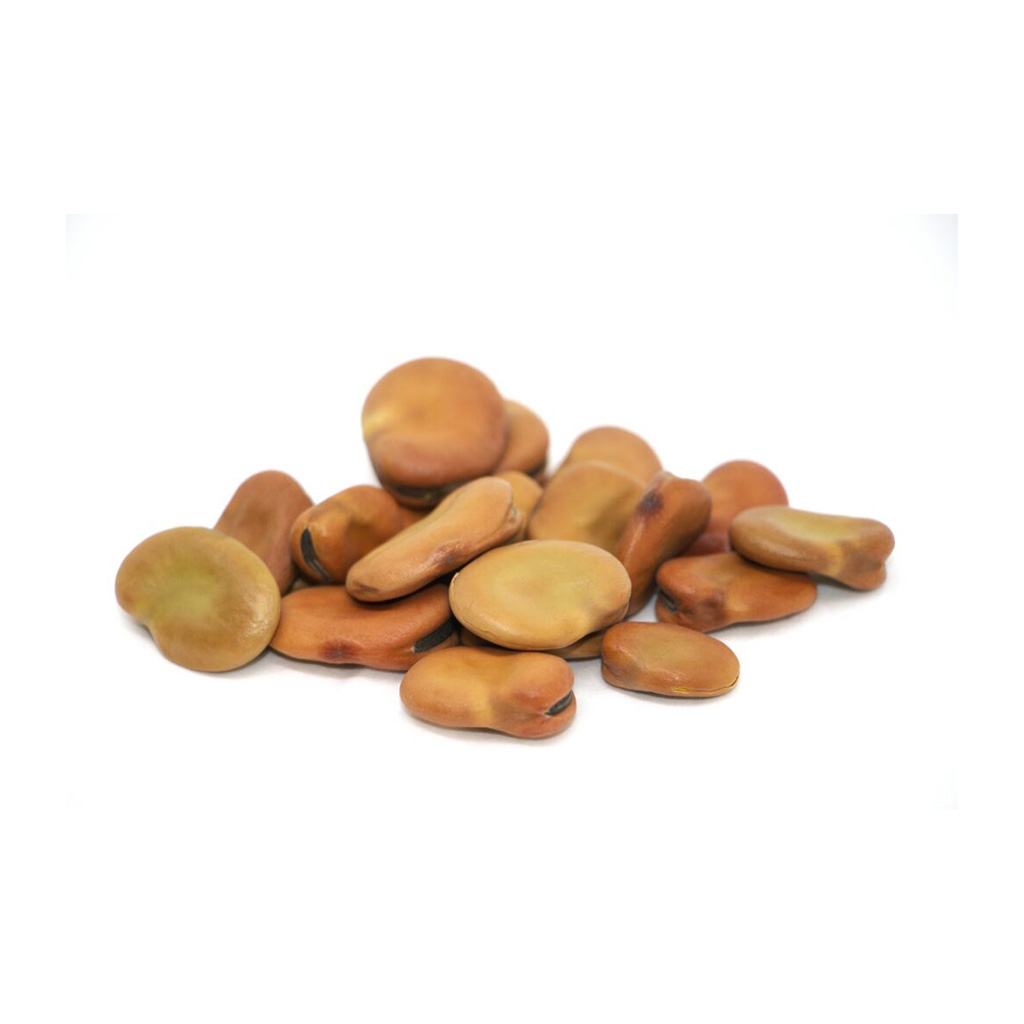 Organic Fava bean seed