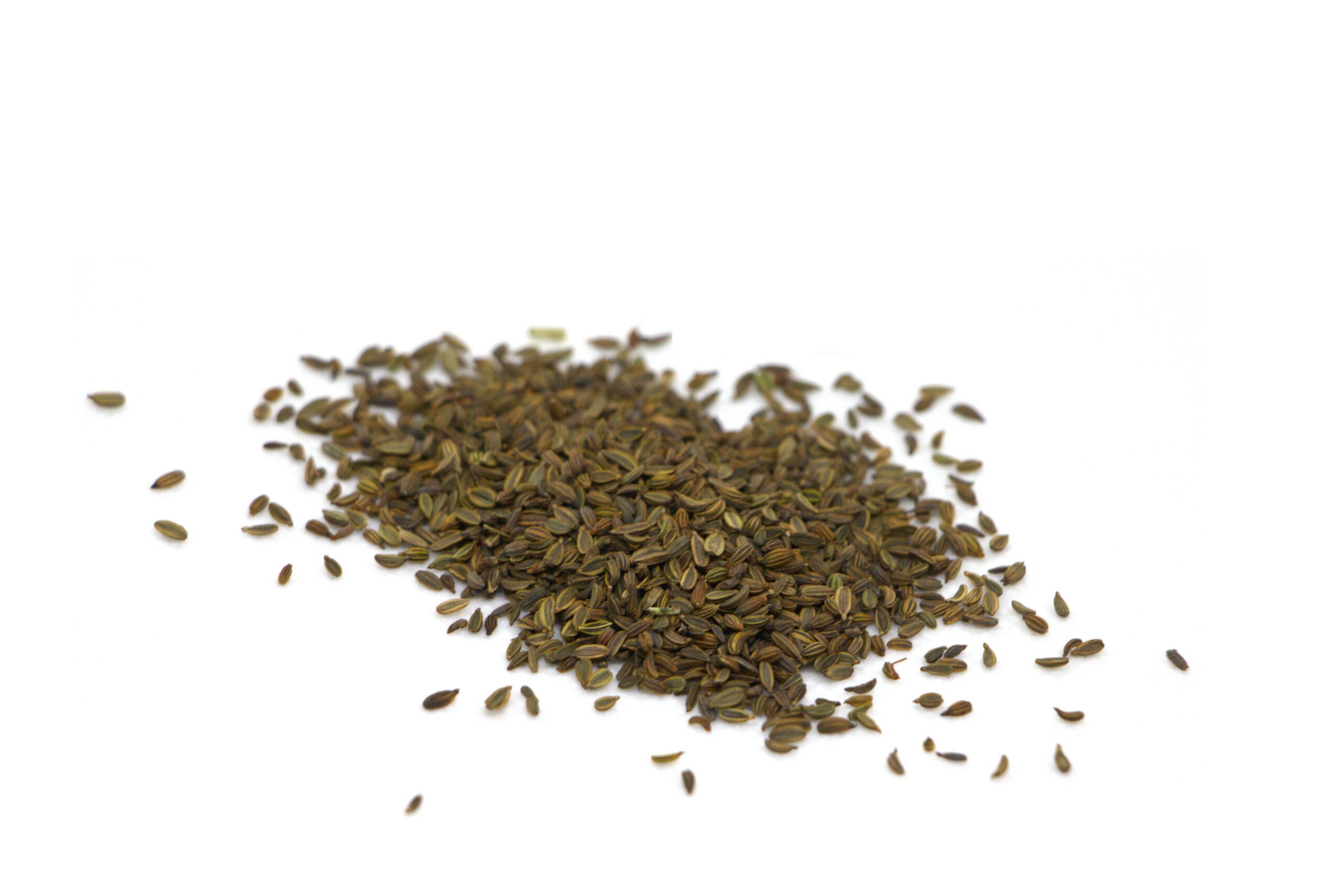 Organic Fennel bronze seed