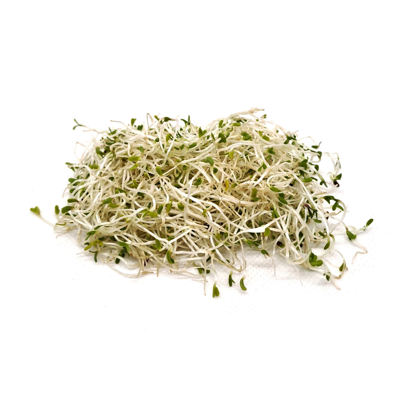 Organic Rocket sprouts