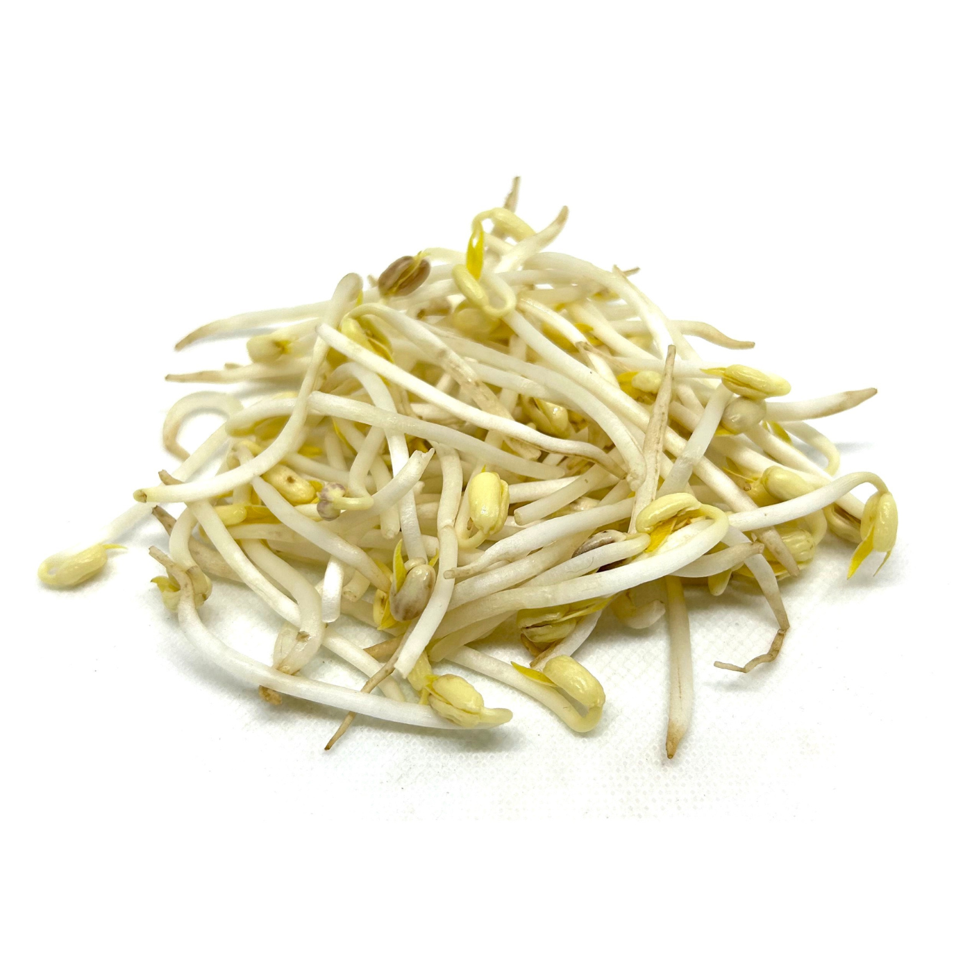 Organic soybean sprouts