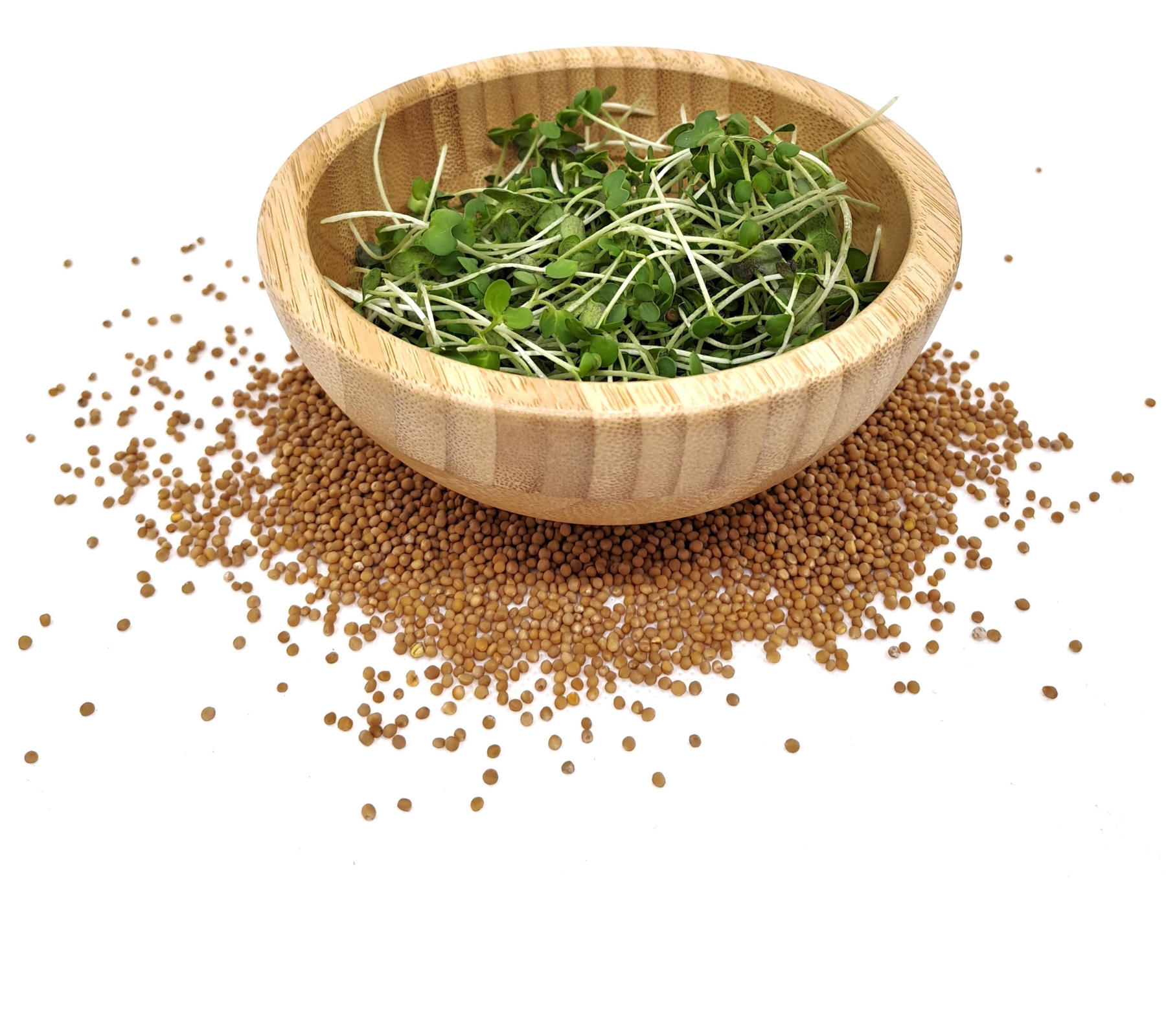 Organic seed for microgreens