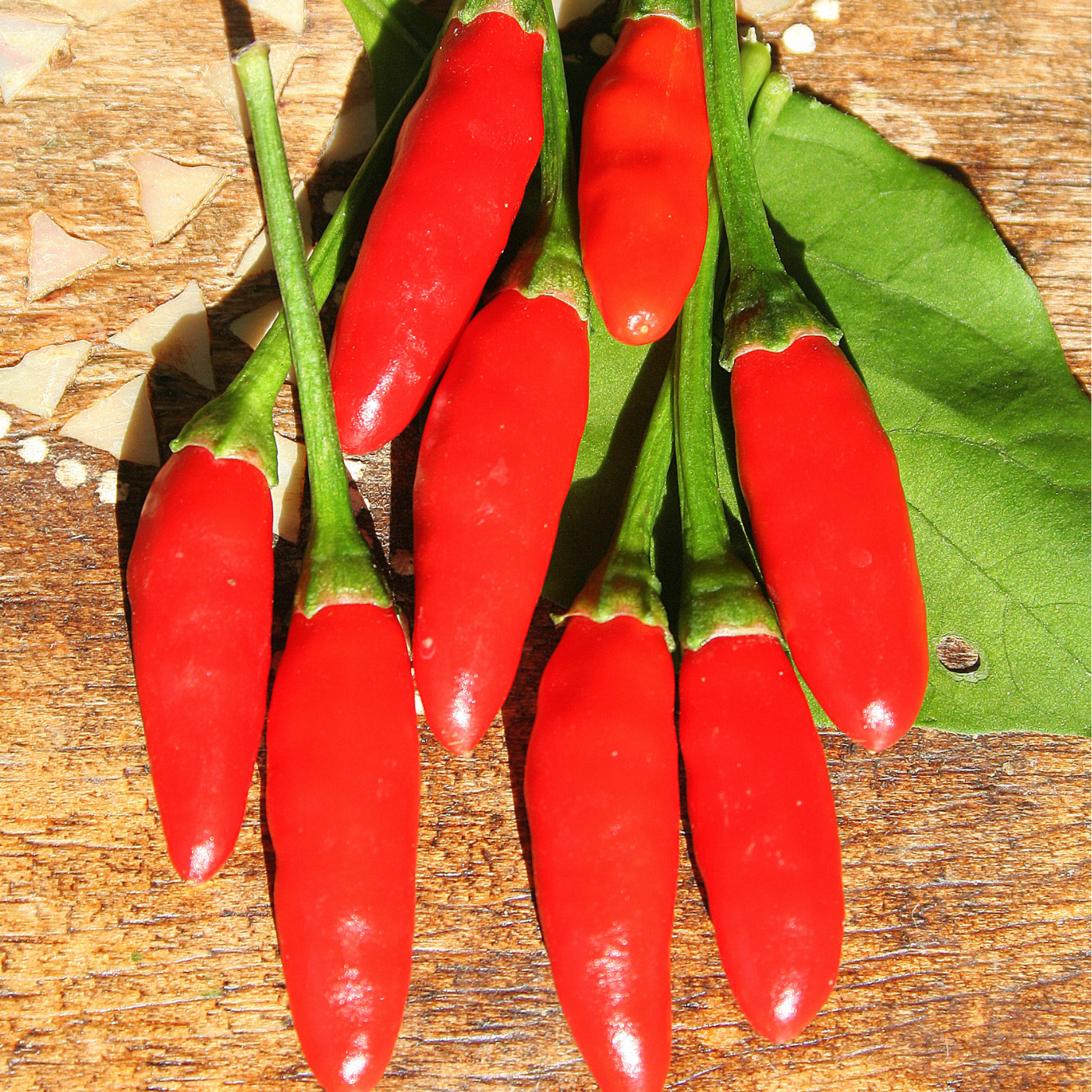 Peperoncino Diavolicchio Calabrese biologico