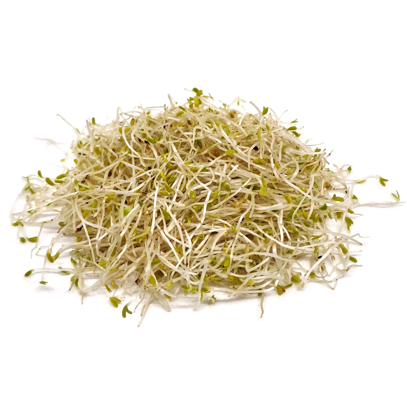 Organic Alfalfa sprouts
