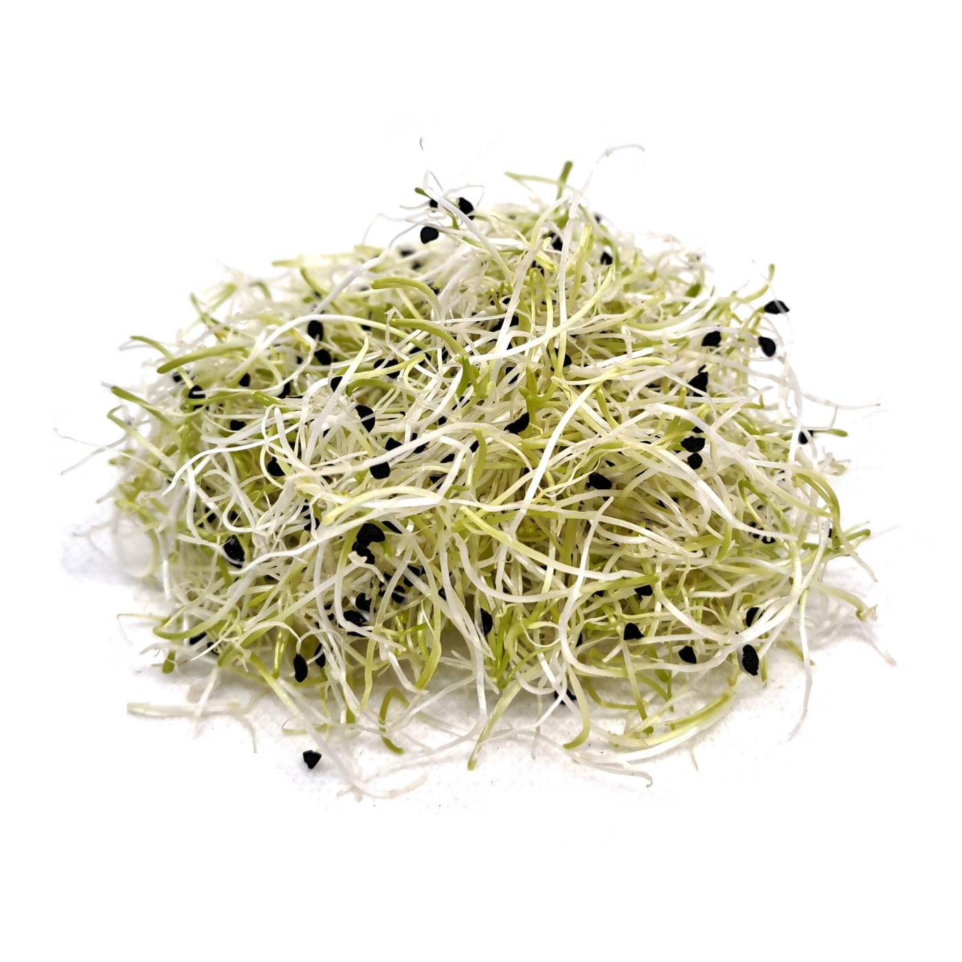 Organic Onion sprouts