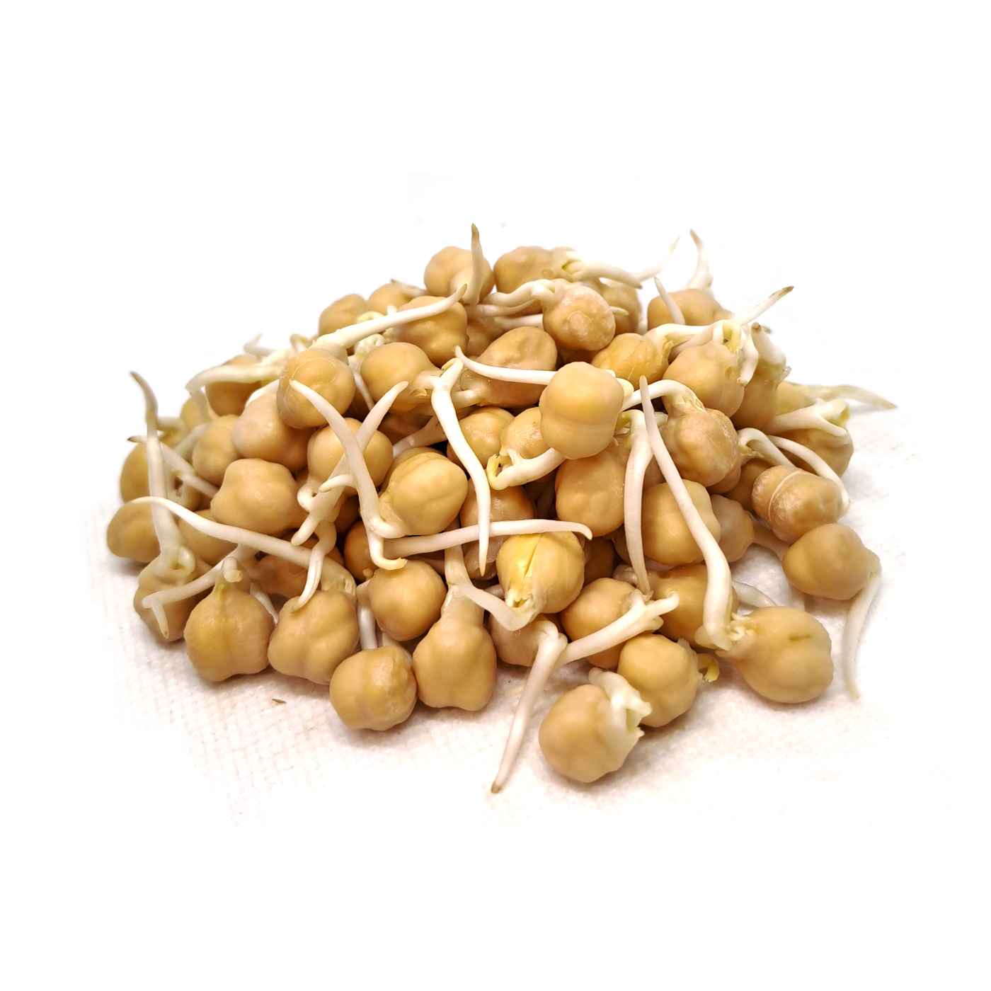 Organic chickpea sprouts