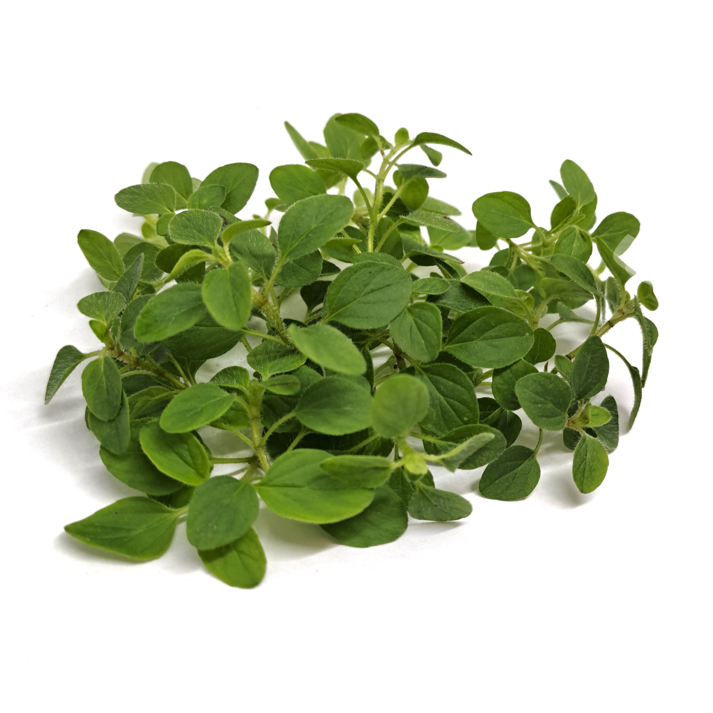 Organic oregano