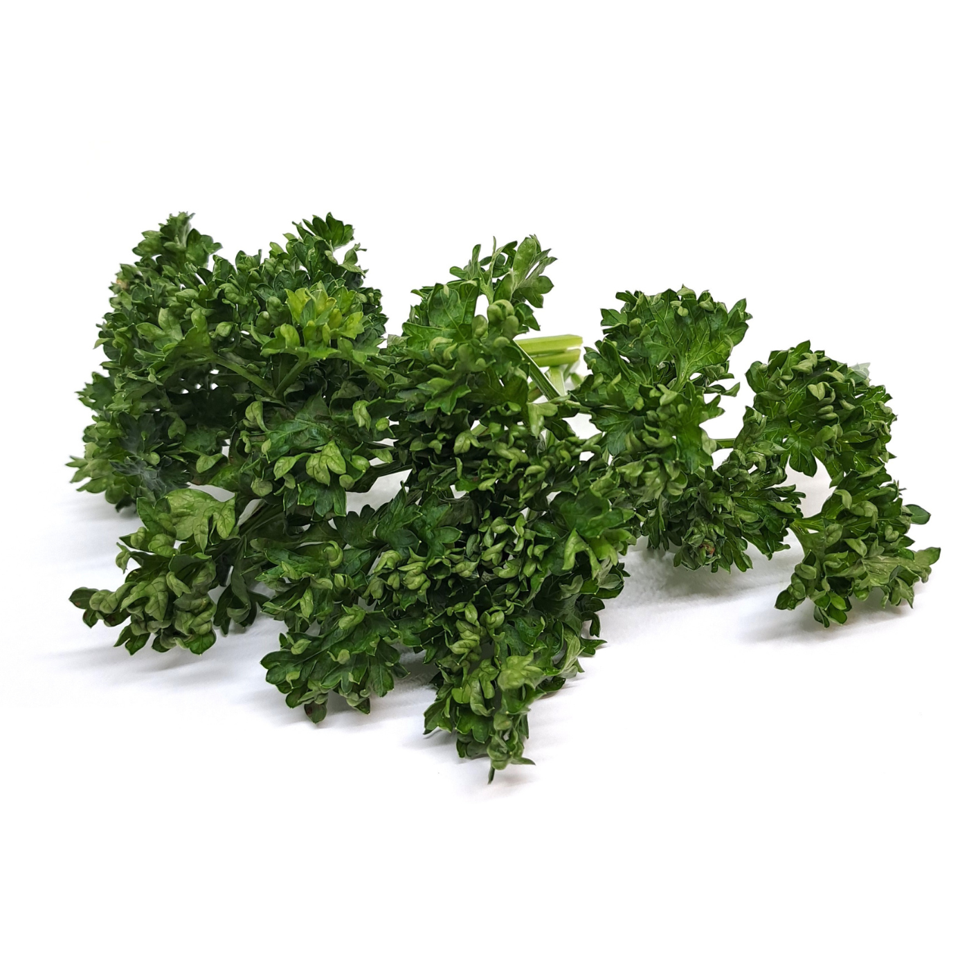 Organic curled parsley