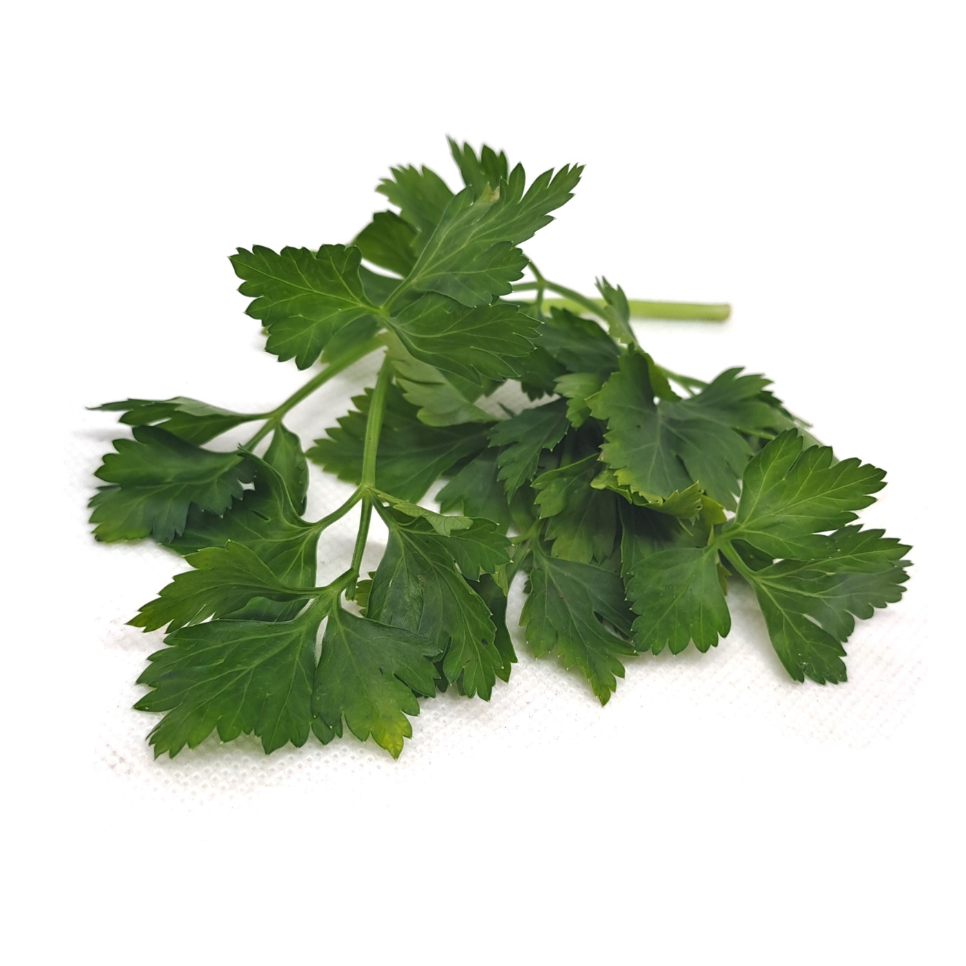 Organic Parsley