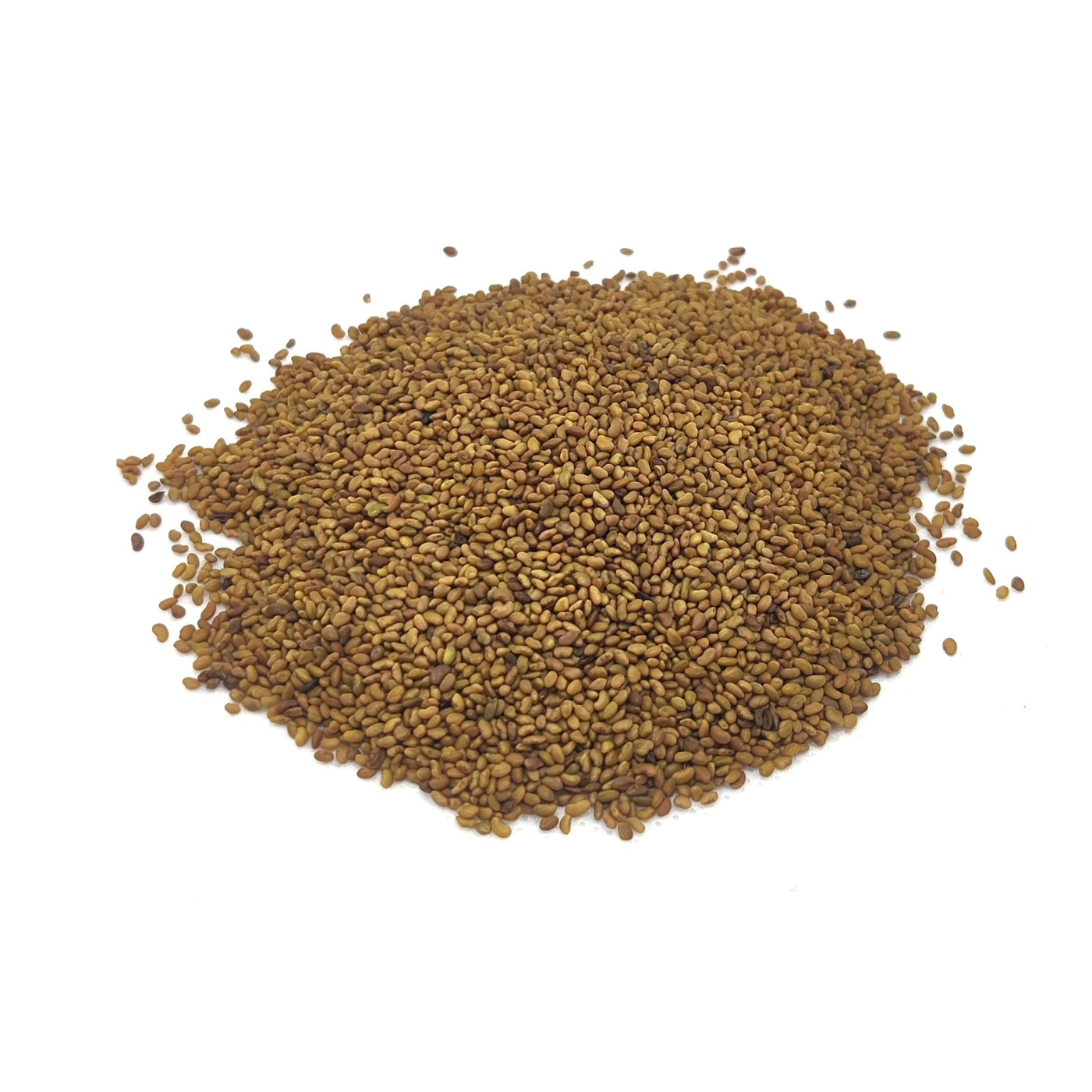 Organic seeds of Alfalfa