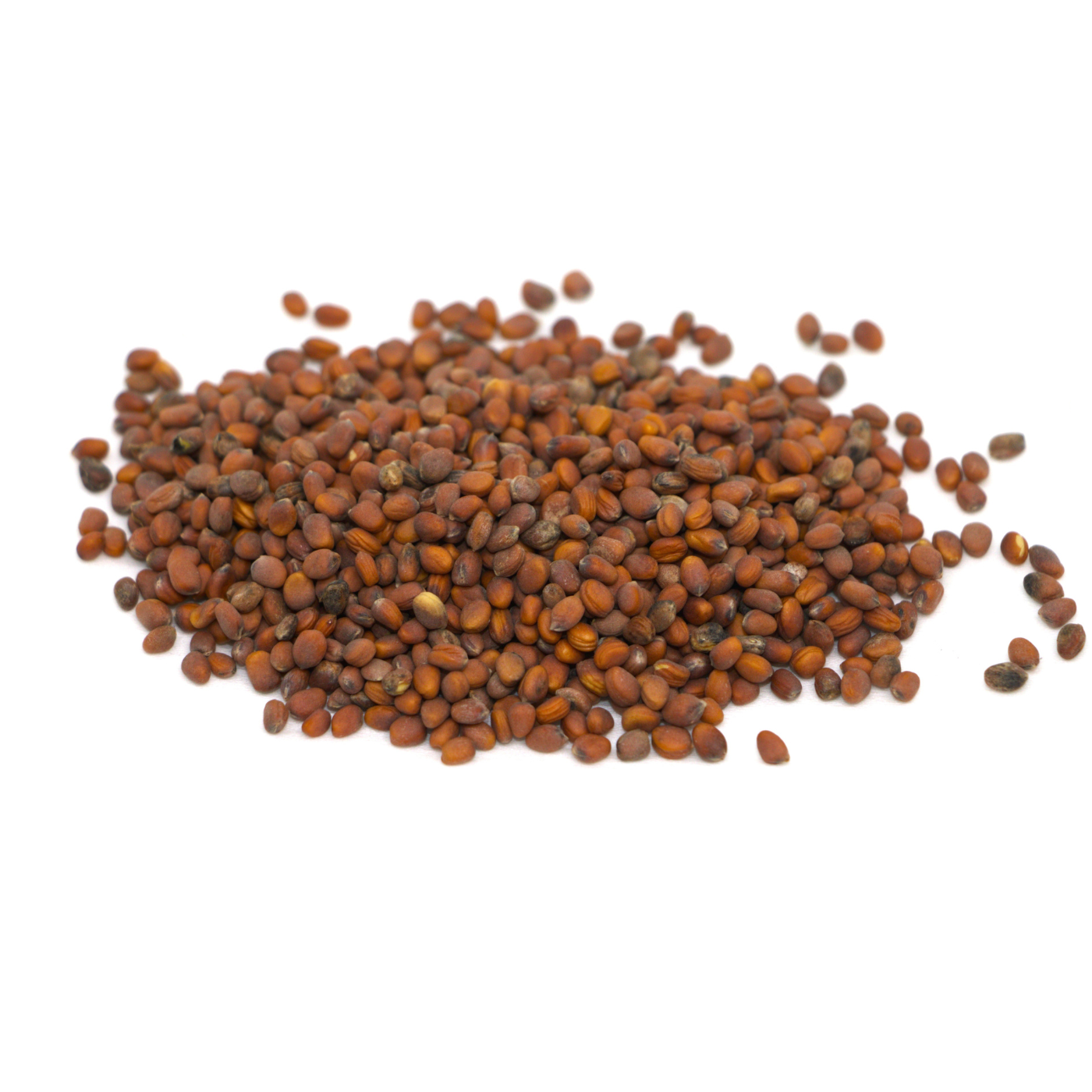 Radish daikon organic seeds