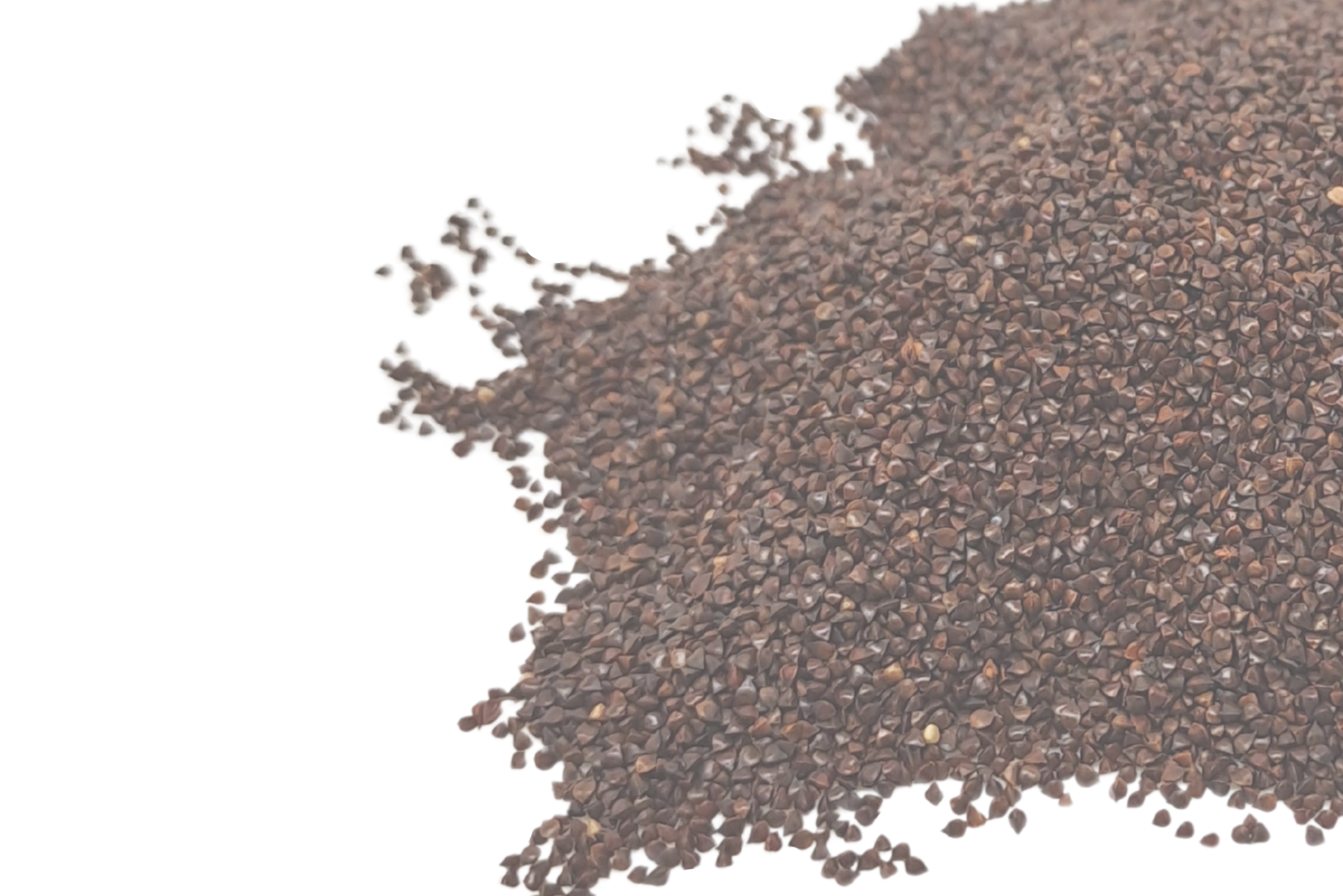 Herbs seeds